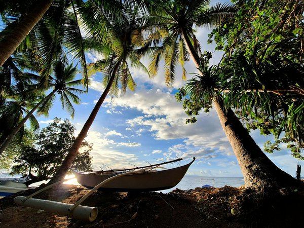 Explore the Best Guided Adventures on the Stunning Jurassic Coast: Your Ultimate Guide